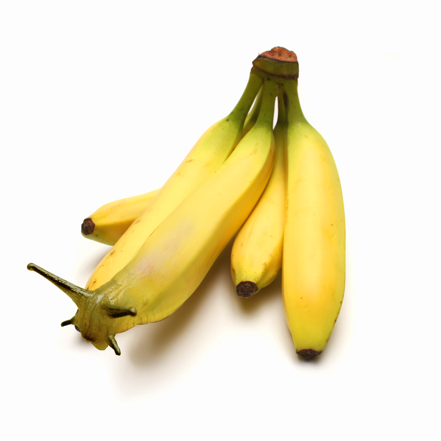 Diseño de Photoshop por mattbyng para DesignCrowd (Community Contests) | Diseño #9030520