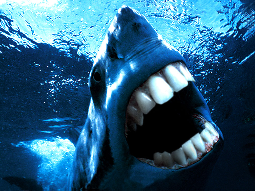 Diseño de Photoshop por shaddow para DesignCrowd (Community Contests) | Diseño #9030529