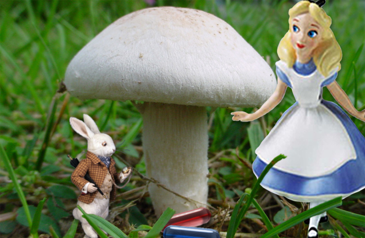 Photoshop Design by cshutt for DesignCrowd (Community Contests) | Design #9027201