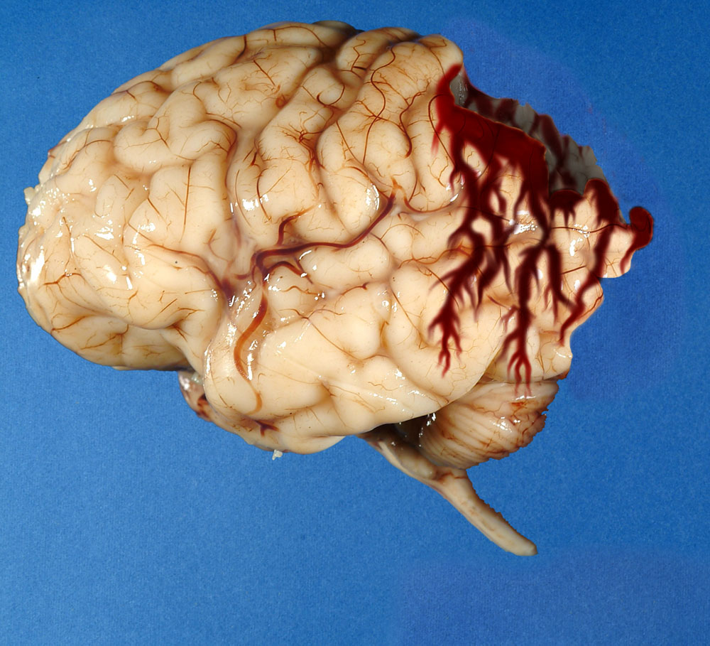 Photoshop-Design von xd3333 für DesignCrowd (Community Contests) | Design #9027166