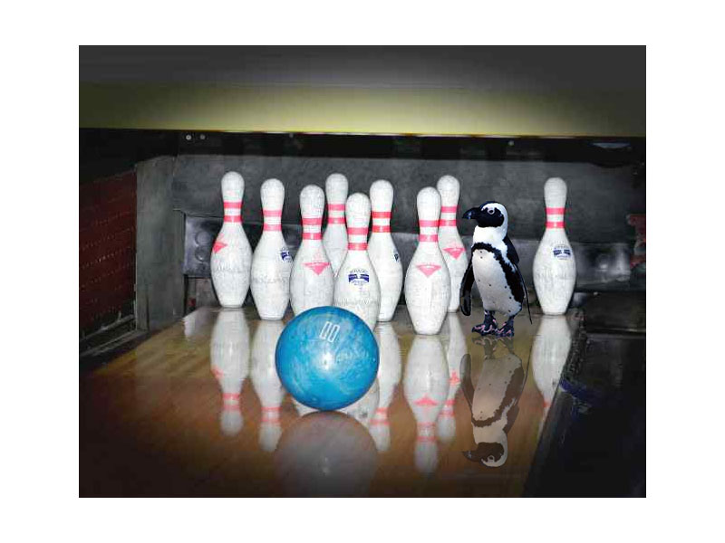 Design Photoshop par WiseMonkey pour DesignCrowd (Community Contests) | Design #9030613