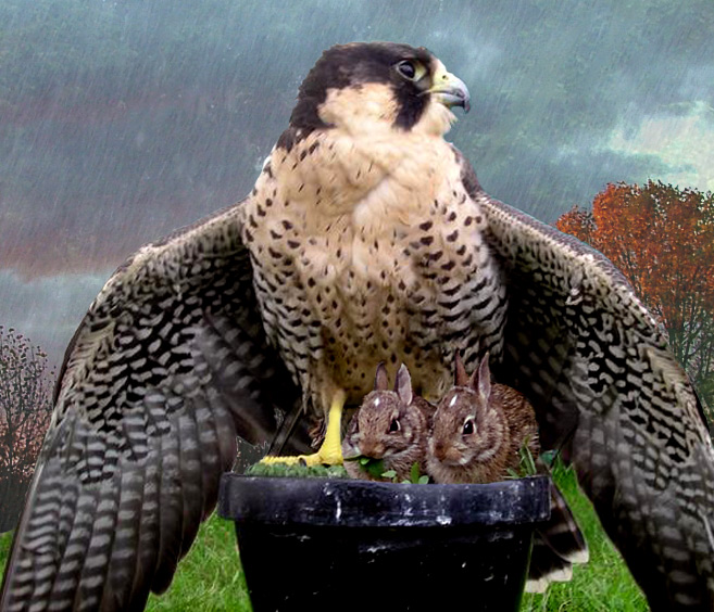 Photoshop-Design von Lacenflanl für DesignCrowd (Community Contests) | Design #9032826