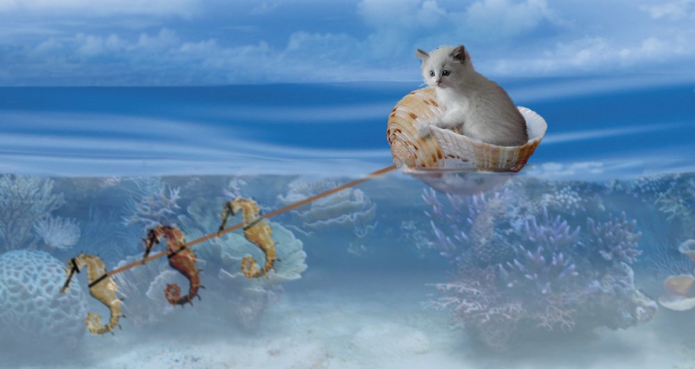 Photoshop Design by JClark8220 for DesignCrowd (Community Contests) | Design #9032817
