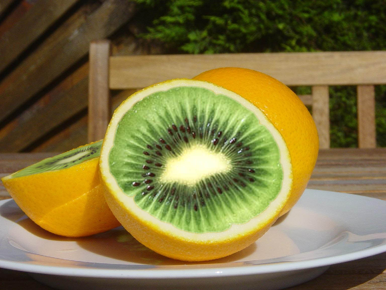 Photoshop Design by RickLaMesa for DesignCrowd (Community Contests) | Design #9030632