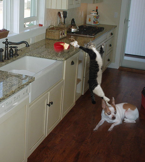 Photoshop-Design von katmgck für DesignCrowd (Community Contests) | Design #9032823