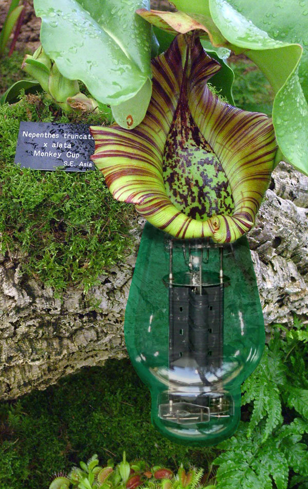 Diseño de Photoshop por swemax para DesignCrowd (Community Contests) | Diseño #9030643