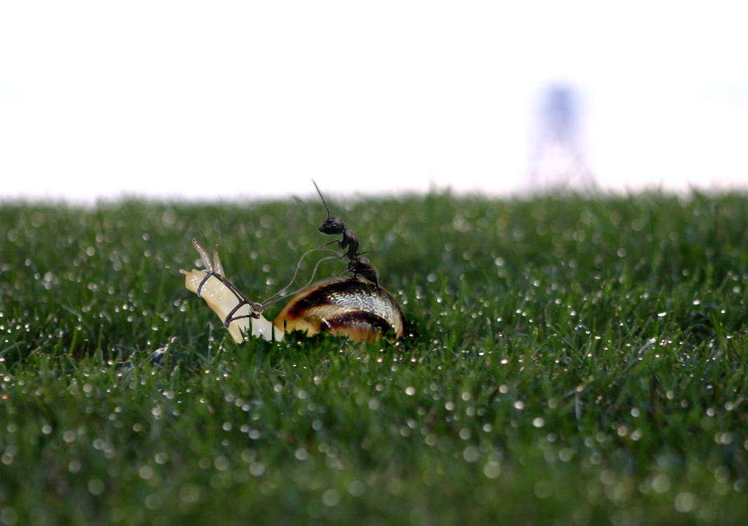 Design Photoshop par nikos80 pour DesignCrowd (Community Contests) | Design #9032914