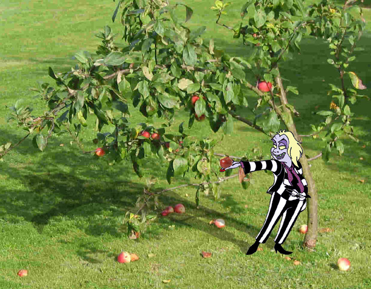 Photoshop-Design von Irrwitzer für DesignCrowd (Community Contests) | Design #9028116