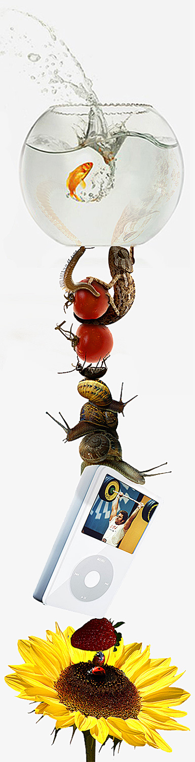 Photoshop Design by mjhaylor for DesignCrowd (Community Contests) | Design #9032887