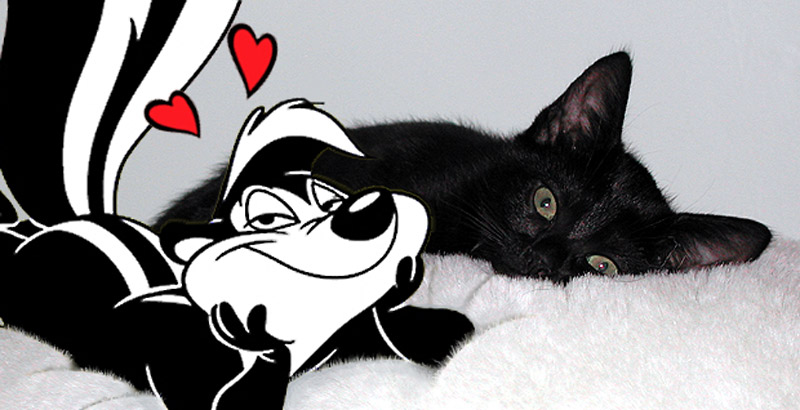 Photoshop-Design von Lacenflanl für DesignCrowd (Community Contests) | Design #9028213