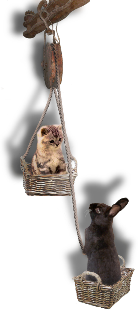 Photoshop Design by Nimorn for DesignCrowd (Community Contests) | Design #9032971