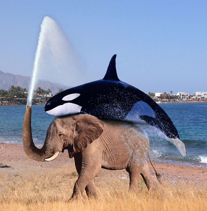 Diseño de Photoshop por swemax para DesignCrowd (Community Contests) | Diseño #9032955