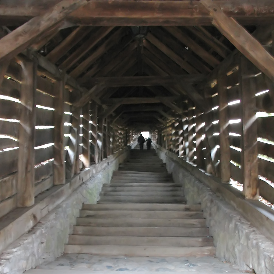 Photography by Mikeleus for DesignCrowd (Community Contests) | Design #9023462