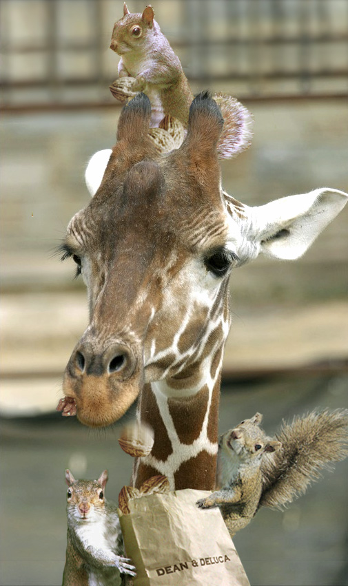 Photoshop Design by Koosricardo for DesignCrowd (Community Contests) | Design #9032879