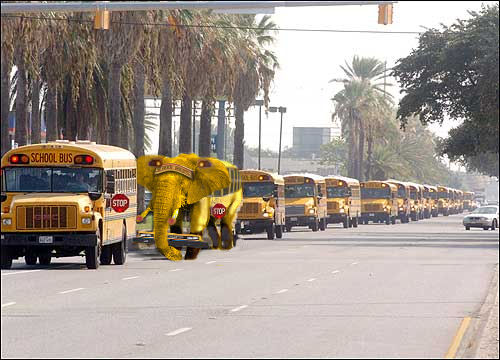 ���� ���� ������ �� ���� ������