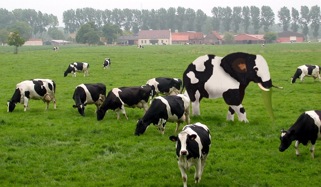 ���� ���� ������ �� ���� ������