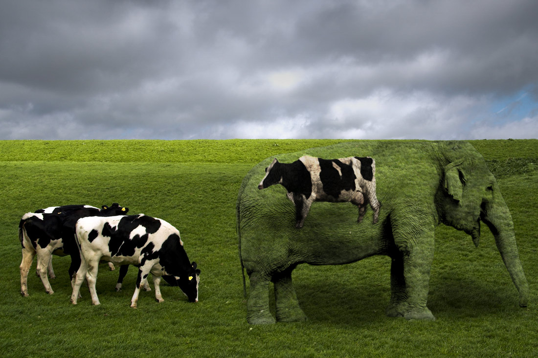 Diseño de Photoshop por shaddow para DesignCrowd (Community Contests) | Diseño #9029603