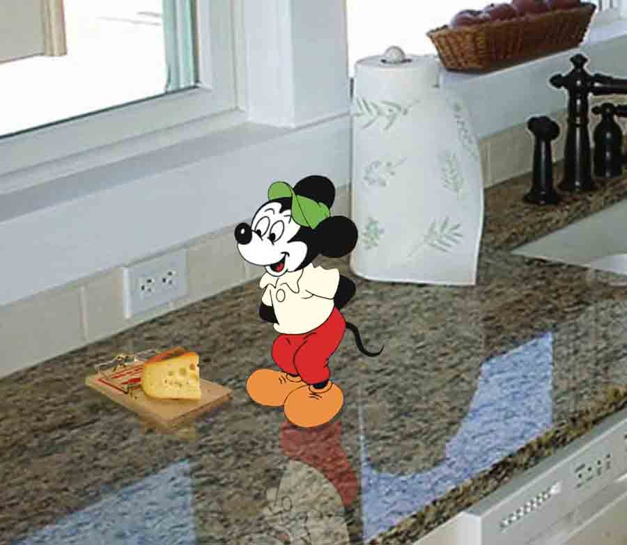 Photoshop Design by freekgrrl for DesignCrowd (Community Contests) | Design #9028337