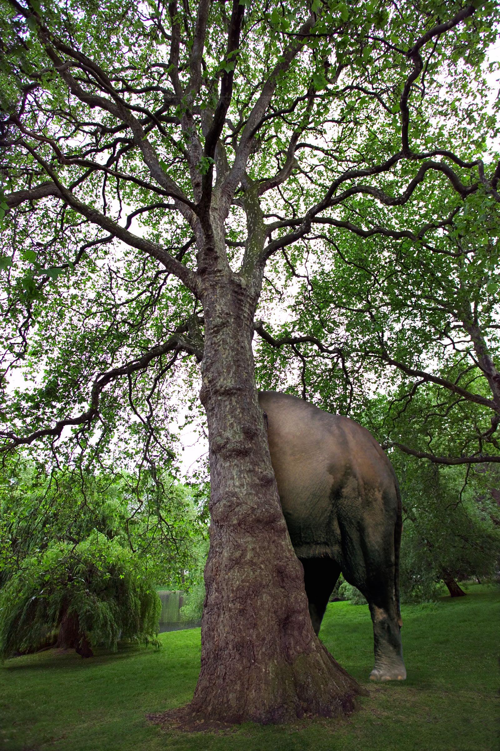 Design Photoshop par mastermindesigns pour DesignCrowd (Community Contests) | Design #9029675