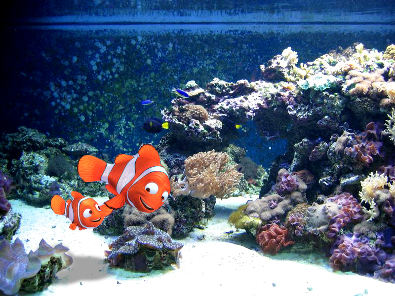 Photoshop Design by samfisher for DesignCrowd (Community Contests) | Design #9028389