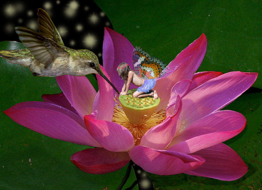 Photoshop Design by NatashaP for DesignCrowd (Community Contests) | Design #9032564