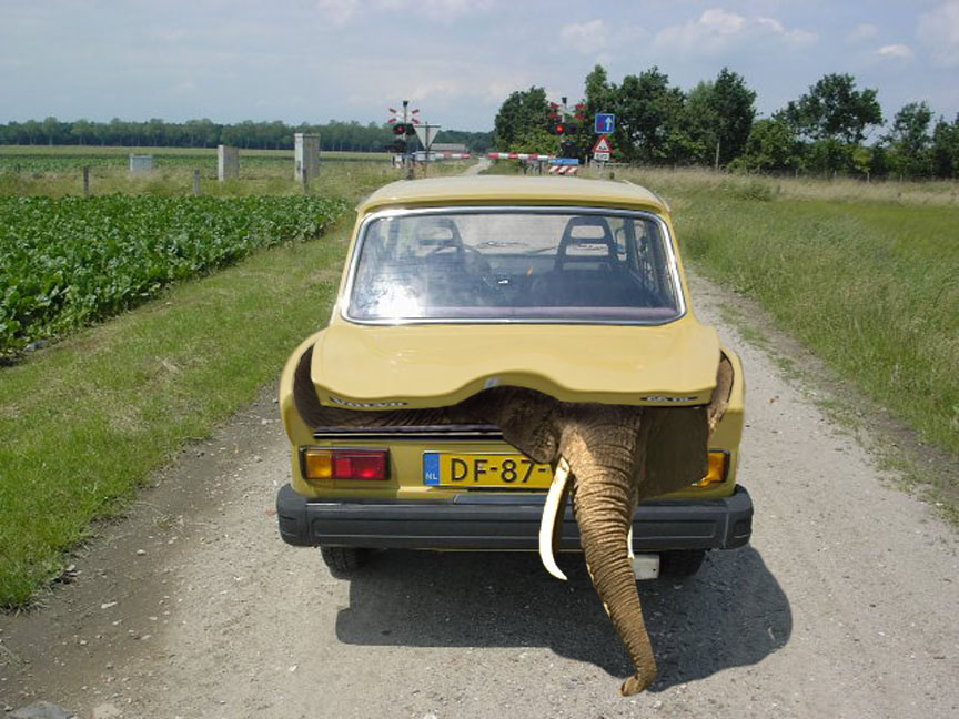 Design Photoshop par jmgarcia30 pour DesignCrowd (Community Contests) | Design #9029684