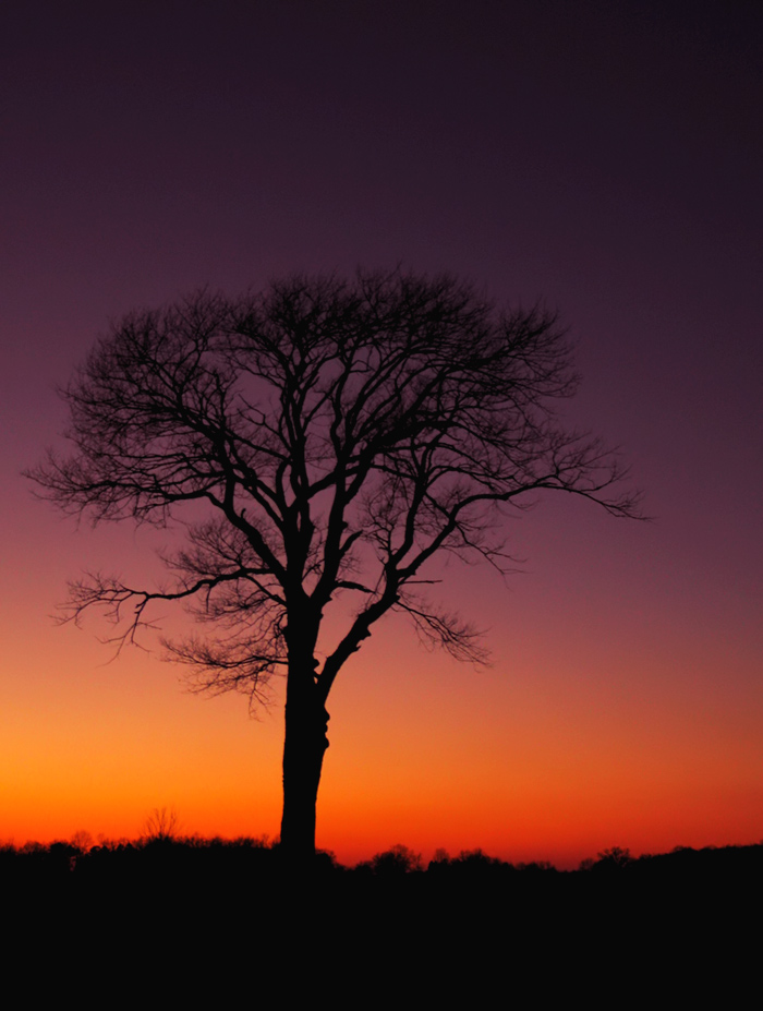 Fotografie von gunmetal für DesignCrowd (Community Contests) | Design #9028695