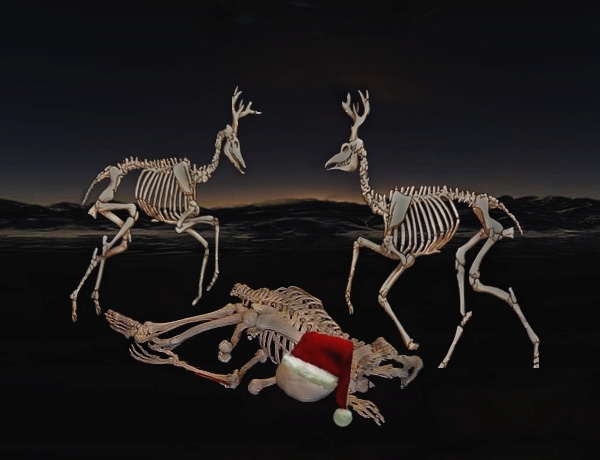 Design Photoshop par pixel8r pour DesignCrowd (Community Contests) | Design #9029318