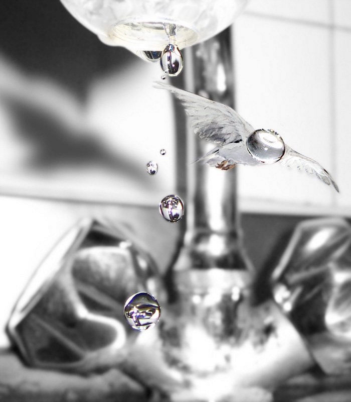 Design Photoshop par Firenzesca pour DesignCrowd (Community Contests) | Design #9031395