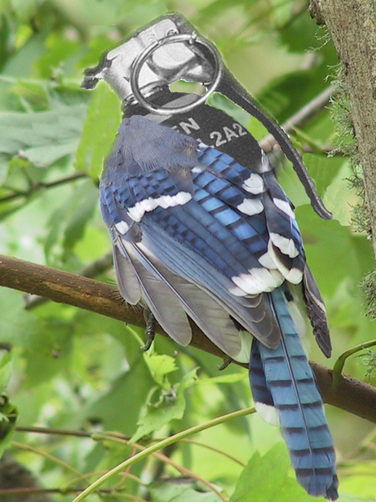 Diseño de Photoshop por TheKingPredator para DesignCrowd (Community Contests) | Diseño #9031457