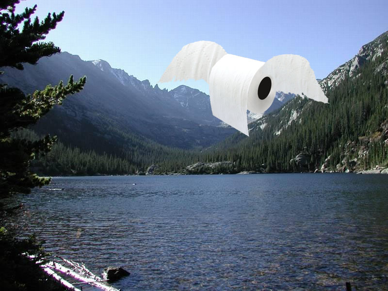 Design Photoshop par WiseMonkey pour DesignCrowd (Community Contests) | Design #9031483