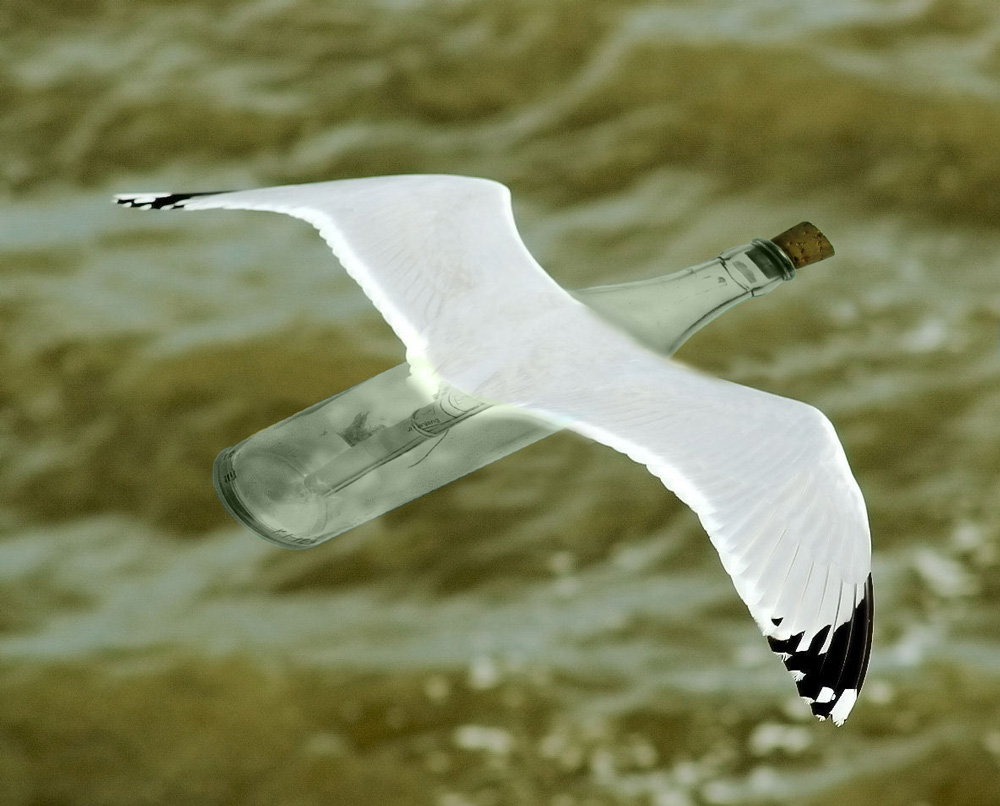 Photoshop Design by Saddy10 for DesignCrowd (Community Contests) | Design #9031486