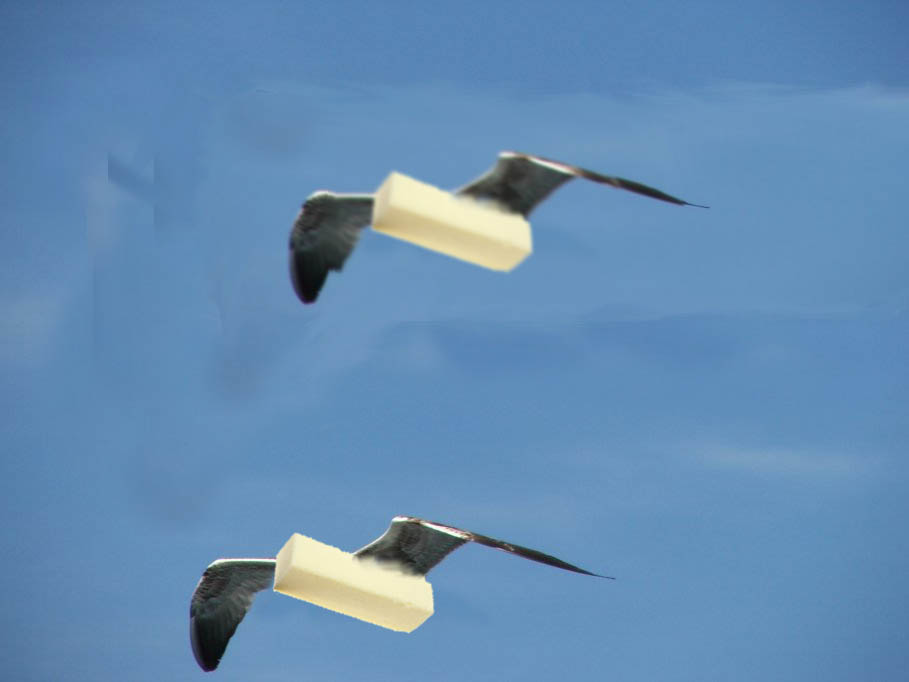 Photoshop Design by aliu292 for DesignCrowd (Community Contests) | Design #9031554