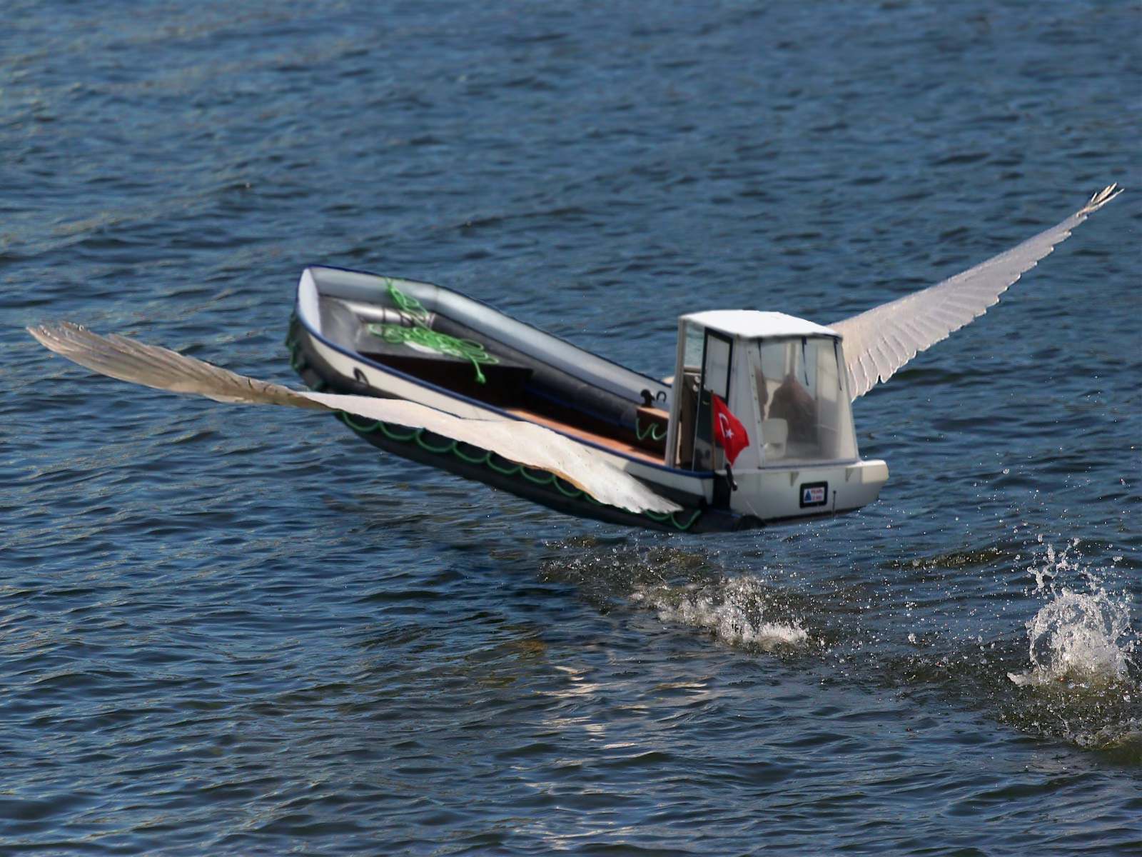 Diseño de Photoshop por Louweasel para DesignCrowd (Community Contests) | Diseño #9031529