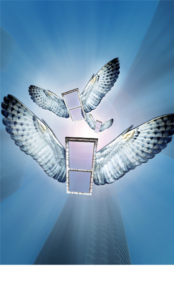 Diseño de Photoshop por podesta67 para DesignCrowd (Community Contests) | Diseño #9031523