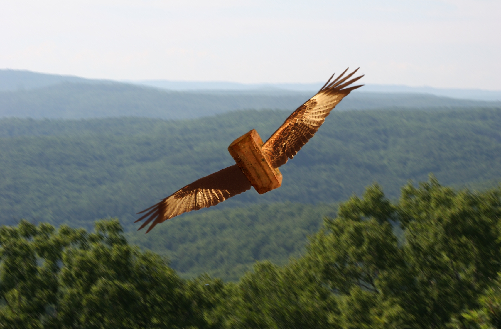 Photoshop Design by Larana for DesignCrowd (Community Contests) | Design #9031603