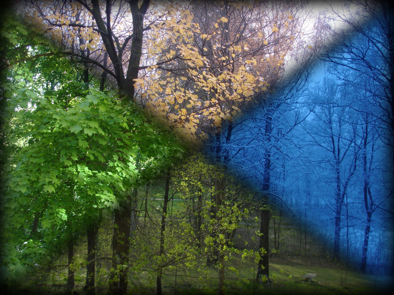 Photoshop Design by Photech for DesignCrowd (Community Contests) | Design #9028613