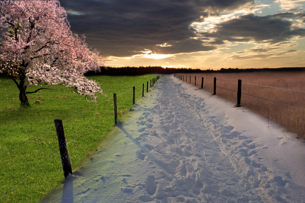 Photoshop Design by ahajnos for DesignCrowd (Community Contests) | Design #9028616