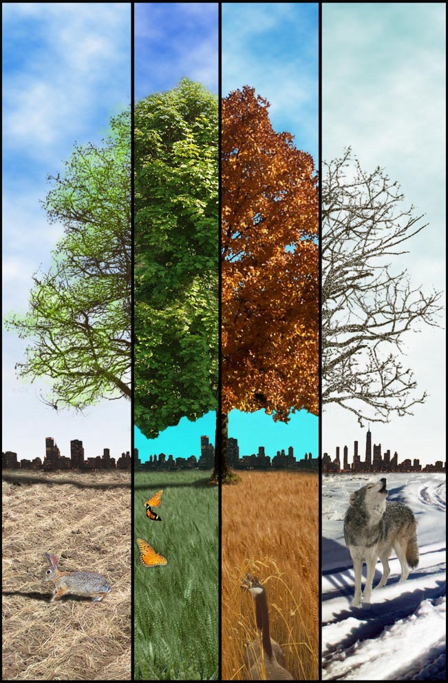 Diseño de Photoshop por Loki31 para DesignCrowd (Community Contests) | Diseño #9028634