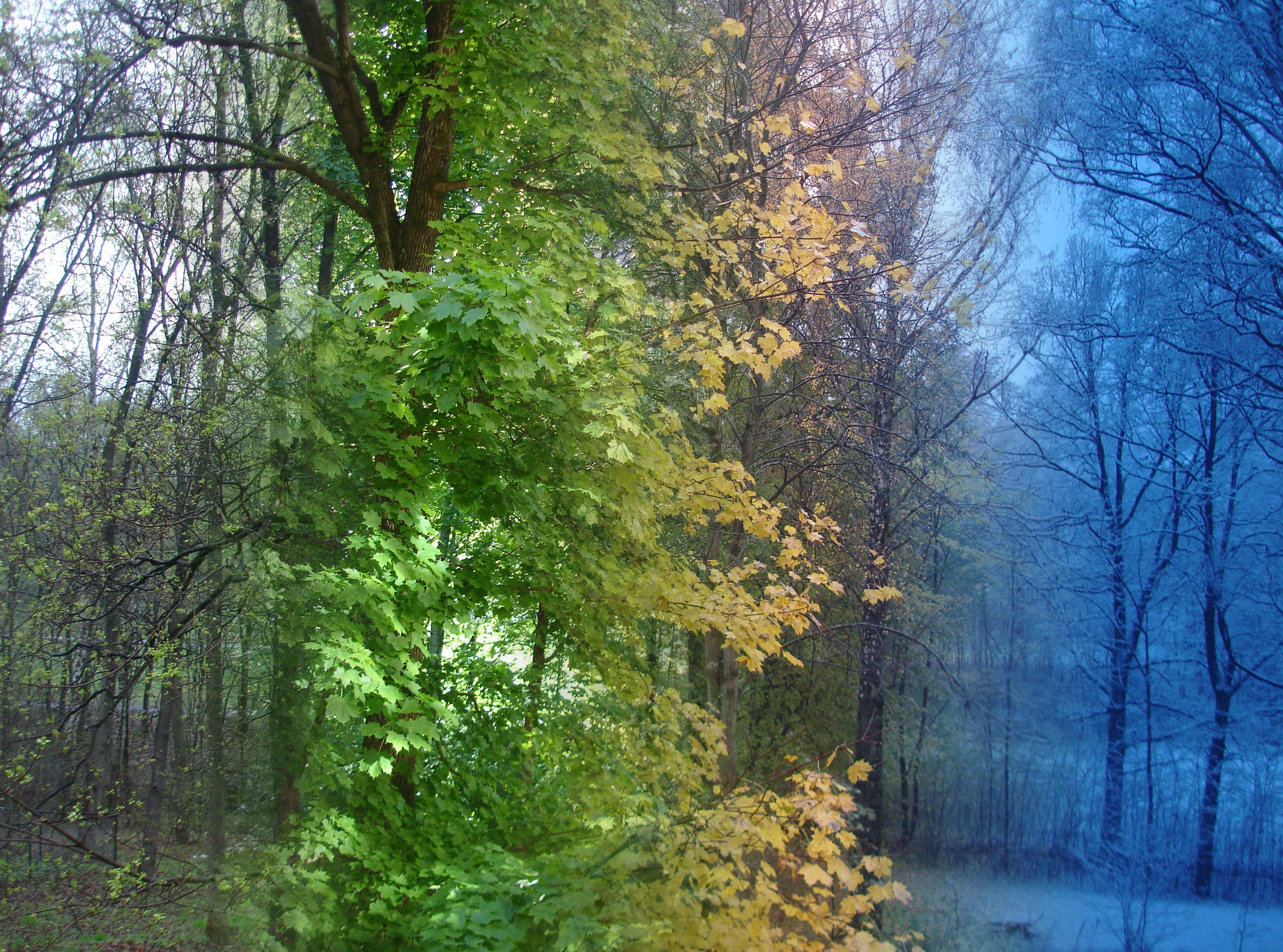 Design Photoshop par vixper pour DesignCrowd (Community Contests) | Design #9028632