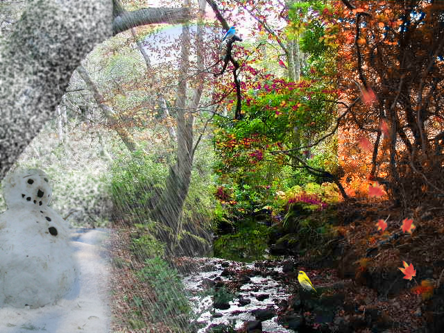 Photoshop Design by emilylt87 for DesignCrowd (Community Contests) | Design #9028636