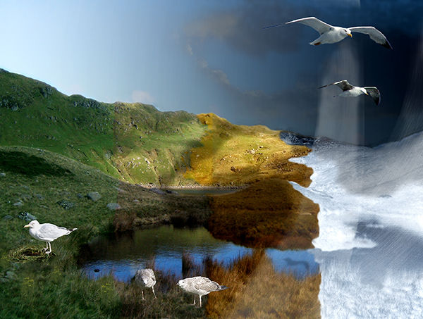 Diseño de Photoshop por EyEars para DesignCrowd (Community Contests) | Diseño #9028631