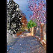 Photoshop Design by bananasfritters