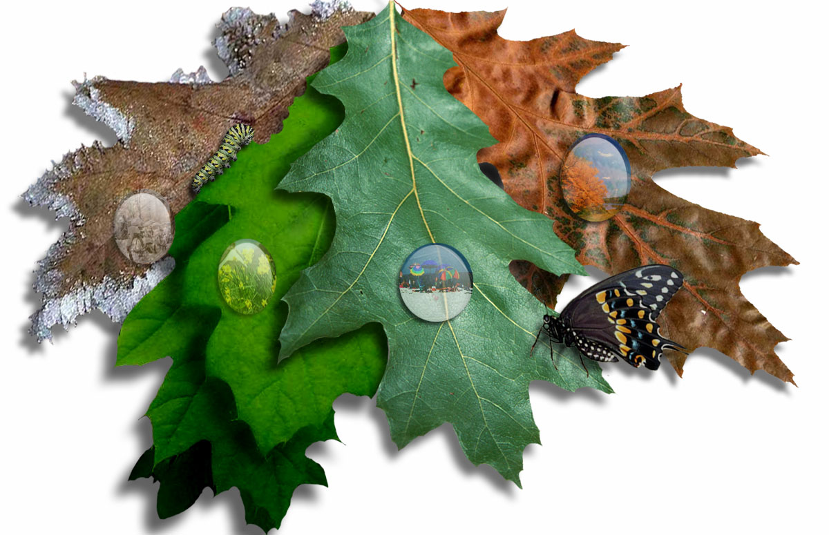 Design Photoshop par TransmissionDump pour DesignCrowd (Community Contests) | Design #9028700