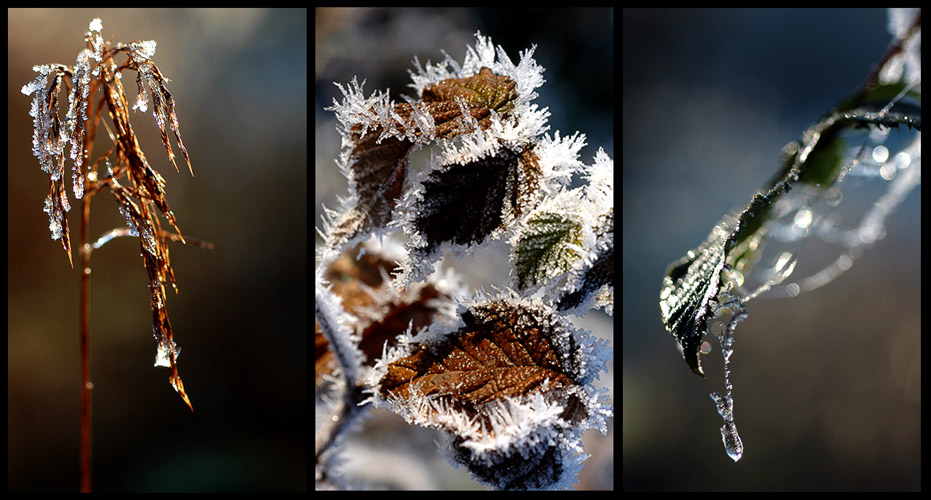 Photography by Marian for DesignCrowd (Community Contests) | Design #9027118