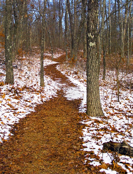 Photographie par burns529 pour DesignCrowd (Community Contests) | Design #9027017