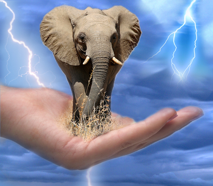 Photoshop-Design von pitbullsaviour für DesignCrowd (Community Contests) | Design #9030451