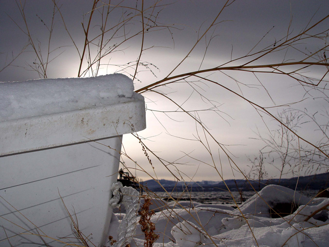 Photography by ljvgtj for DesignCrowd (Community Contests) | Design #9027030