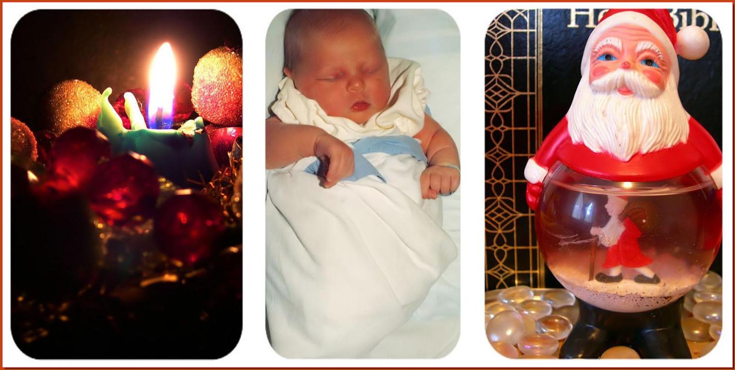 Photography by Isabella2006 for DesignCrowd (Community Contests) | Design #9027127