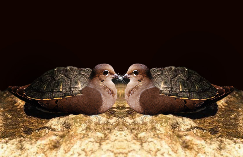 Photoshop Design by LicenBellita for DesignCrowd (Community Contests) | Design #9028212